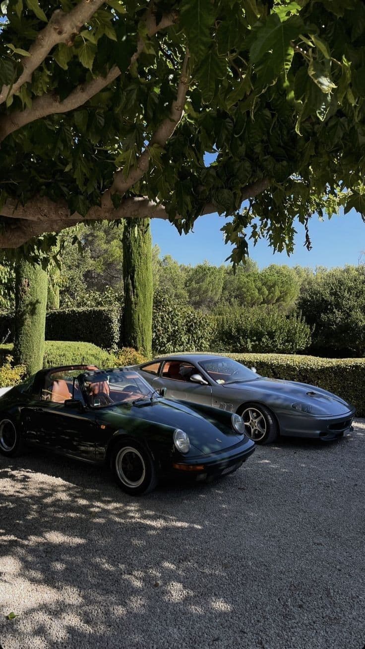 Porsche 911 Speedster noire et Ferrari grise stationnées à l'ombre d'un arbre