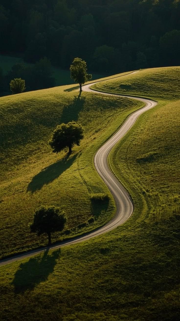 Route sinueuse serpentant entre des collines verdoyantes